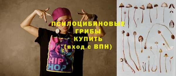 spice Балабаново