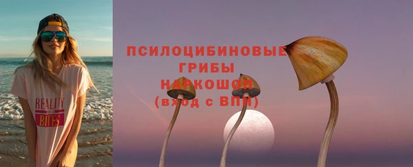 тгк Арсеньев