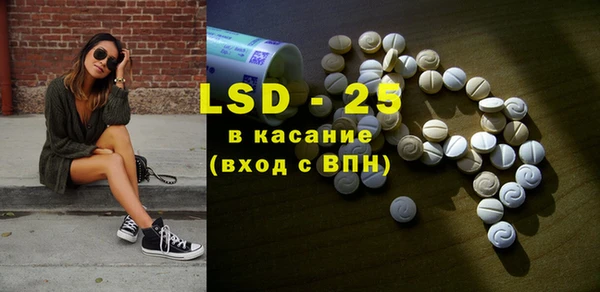 сатива Гатчина
