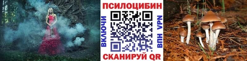 МЕГА ссылки  закладка  Кировск  Галлюциногенные грибы Magic Shrooms 
